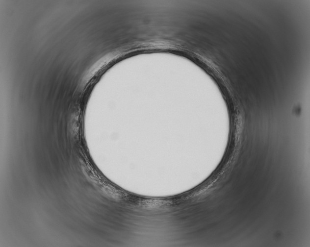 X0000115111163200912081315