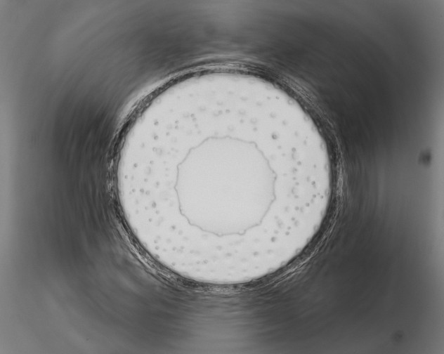 X0000115111164200912081315