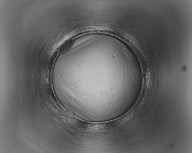 X0000115111165200912081315