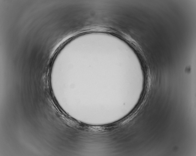 X0000115111166200912081315