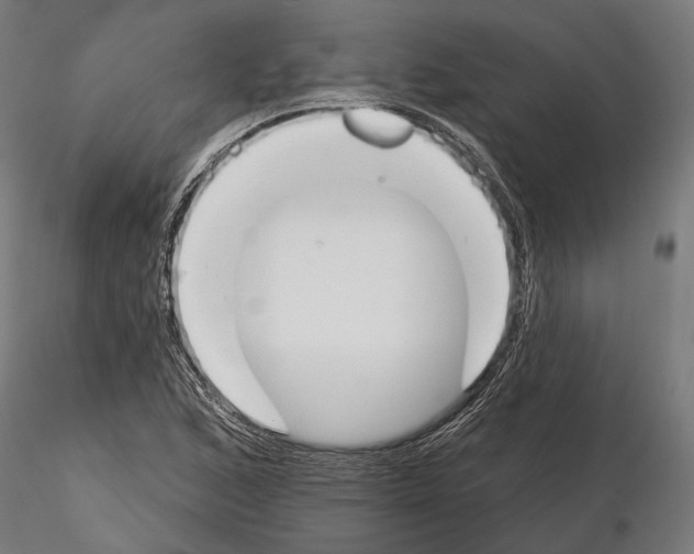 X0000115111168200912081315