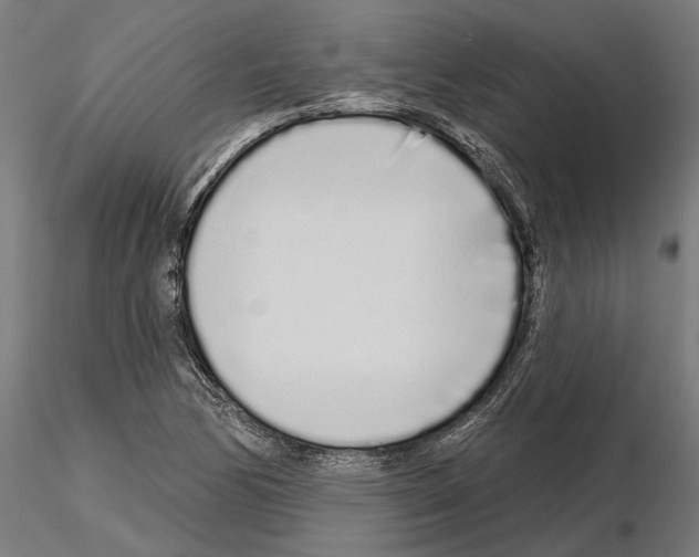 X0000115111170200912081314