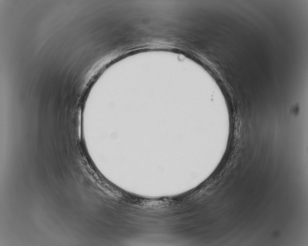 X0000115111171200912081314