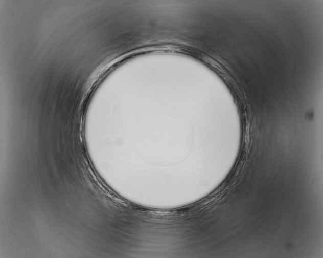 X0000115111172200912081314