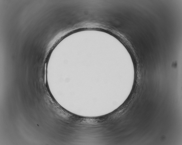 X0000115111175200912081314