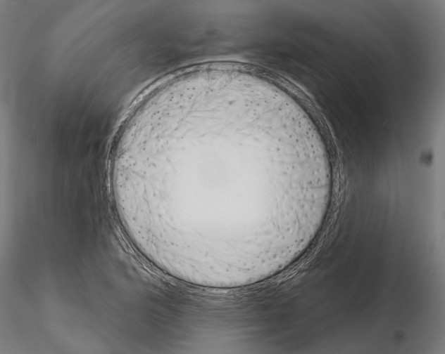 X0000115111176200912081314