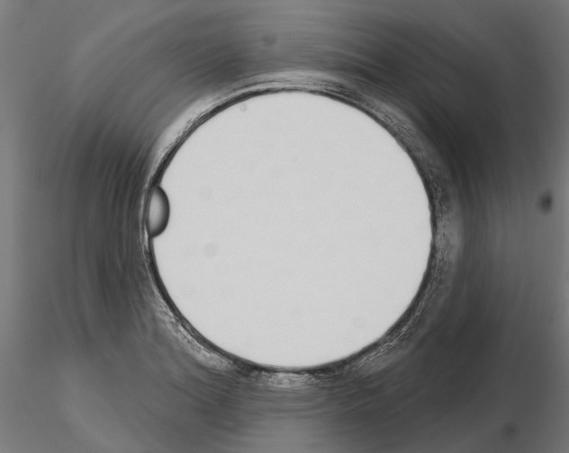 X0000115111180200912081314