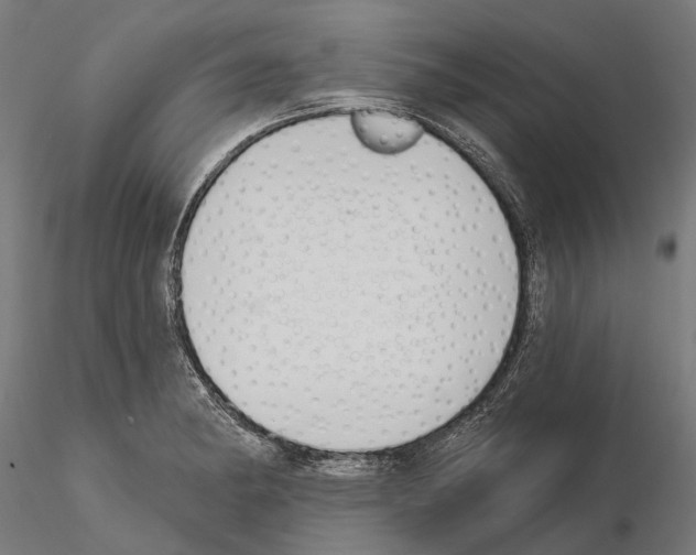 X0000115111182200912081314