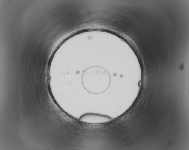 X0000115111183200912081314