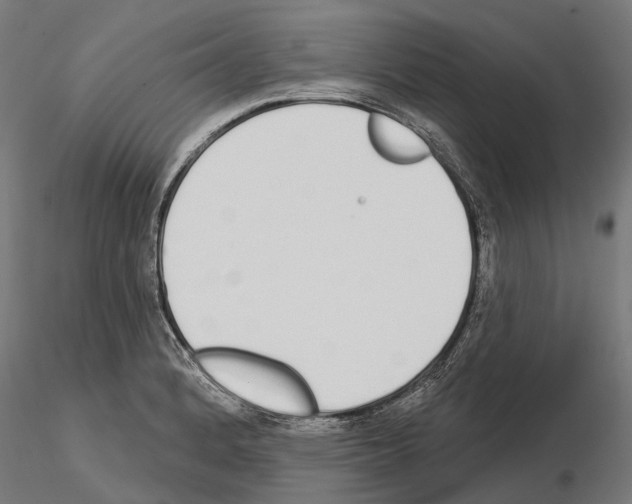 X0000115111184200912081314