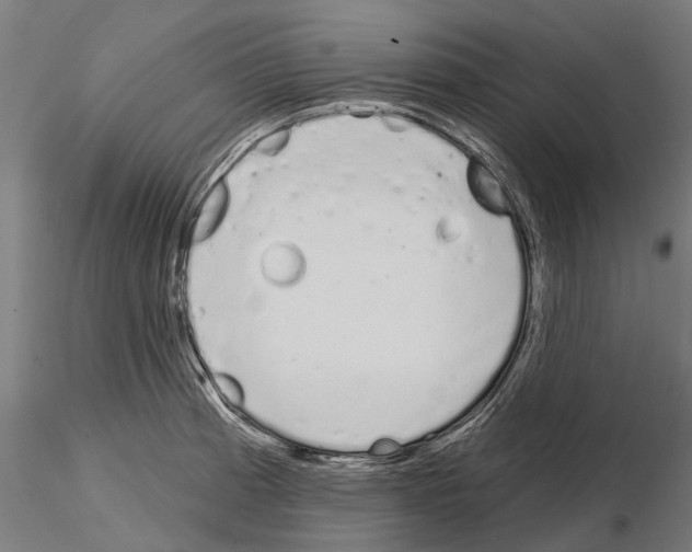 X0000115111185200912081314