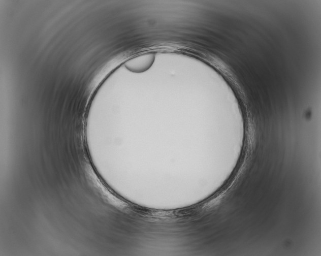 X0000115111186200912081314