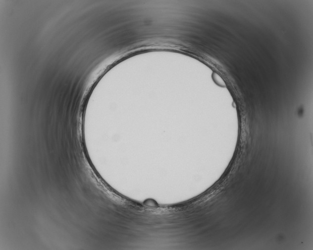 X0000115111188200912081314