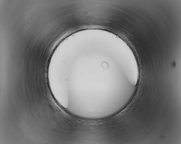 X0000115111189200912081314