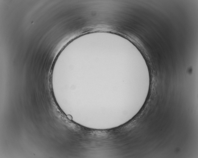 X0000115111190200912081314