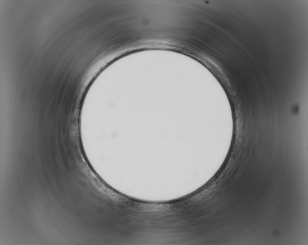 X0000115111192200912081314