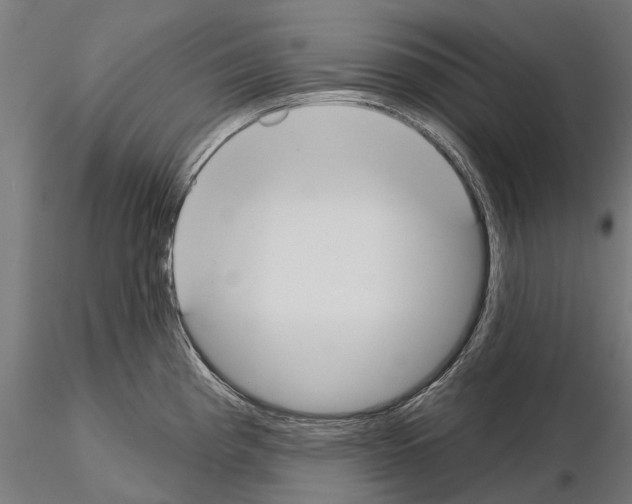 X0000115111193200912081314