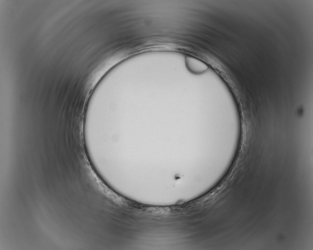 X0000115111194200912081314