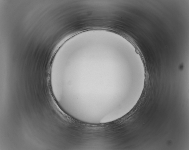 X0000115111195200912081314