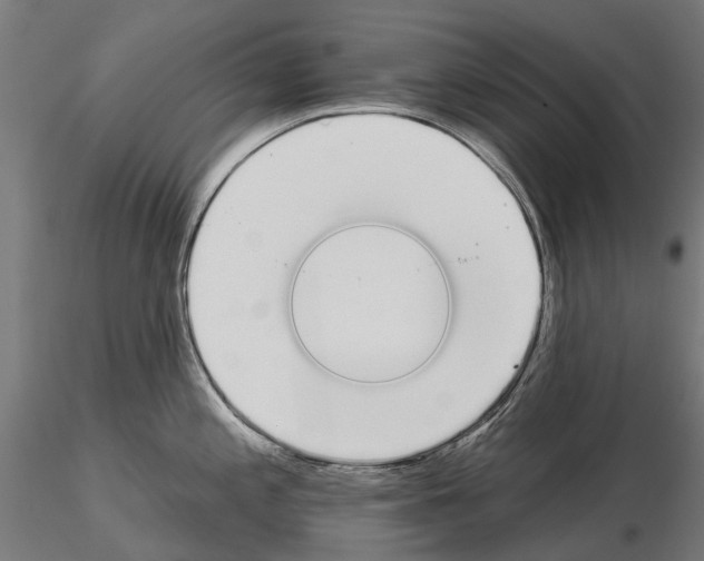 X0000115111197200912081314