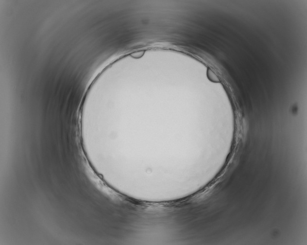 X0000115111198200912081314