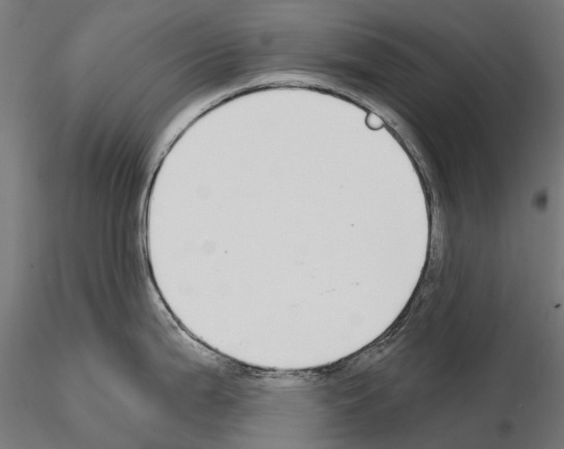 X0000115111199200912081314