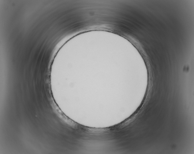 X0000115111200200912081314