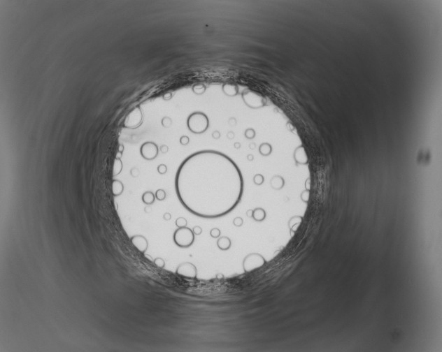 X0000115111201200912081313