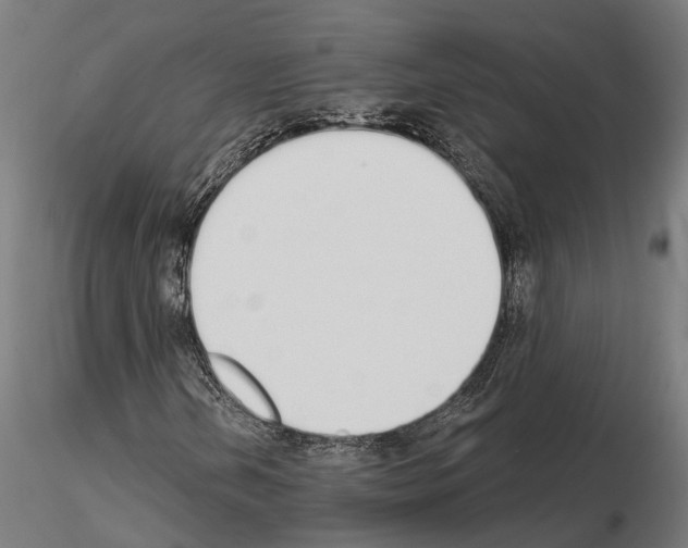 X0000115111202200912081313