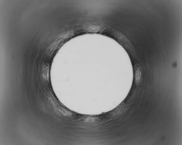 X0000115111204200912081313