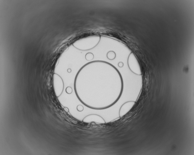 X0000115111205200912081313