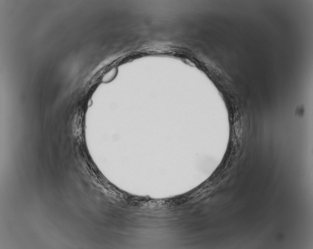 X0000115111206200912081313