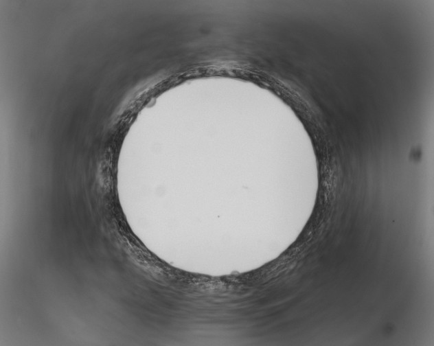 X0000115111207200912081313