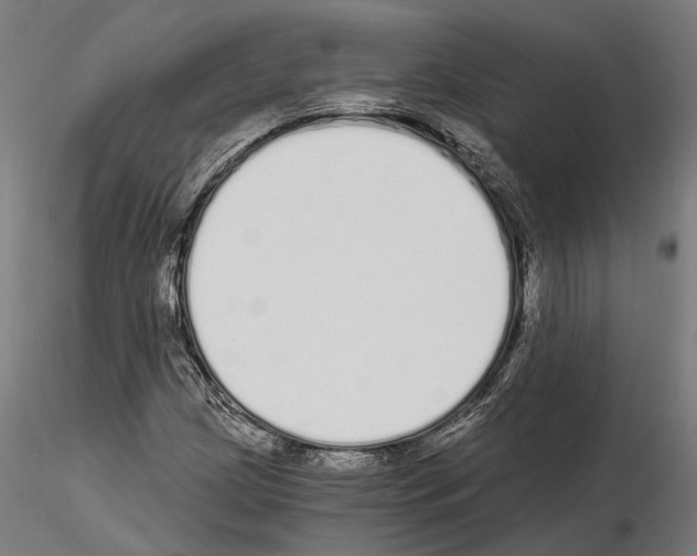 X0000115111209200912081314