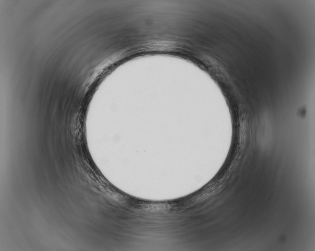 X0000115111210200912081314