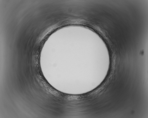 X0000115111211200912081314