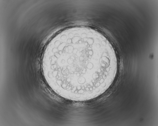 X0000115111212200912081314