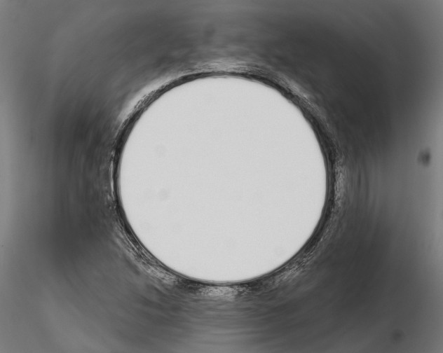 X0000115111214200912081314