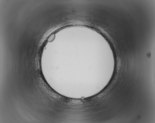 X0000115111215200912081314