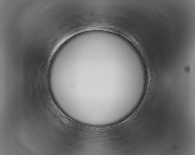 X0000115111216200912081314