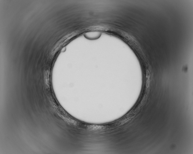 X0000115111217200912081314