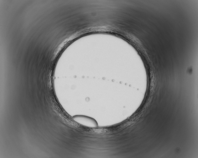 X0000115111218200912081314