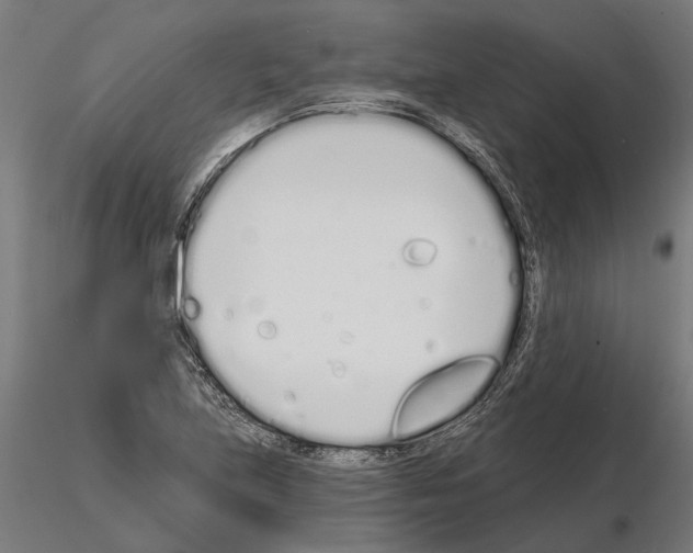 X0000115111219200912081314