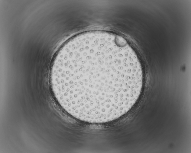 X0000115111220200912081314