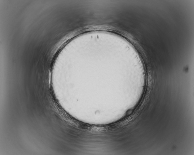 X0000115111221200912081314