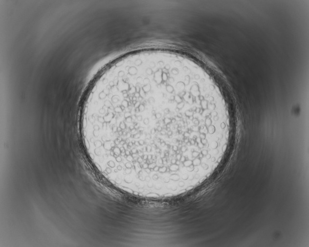 X0000115111222200912081314