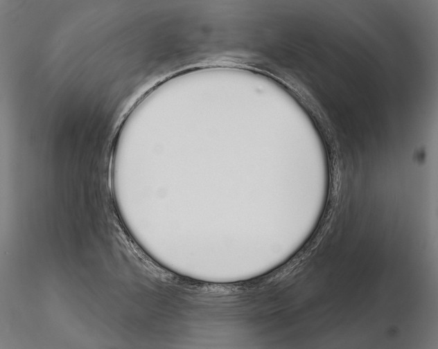 X0000115111224200912081314