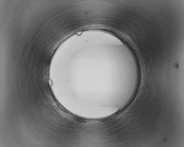 X0000115111225200912081314