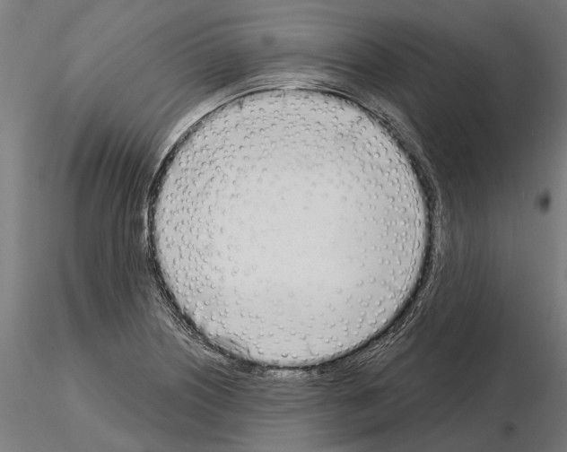 X0000115111226200912081314