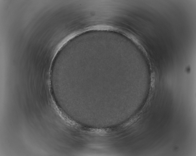 X0000115111229200912081314